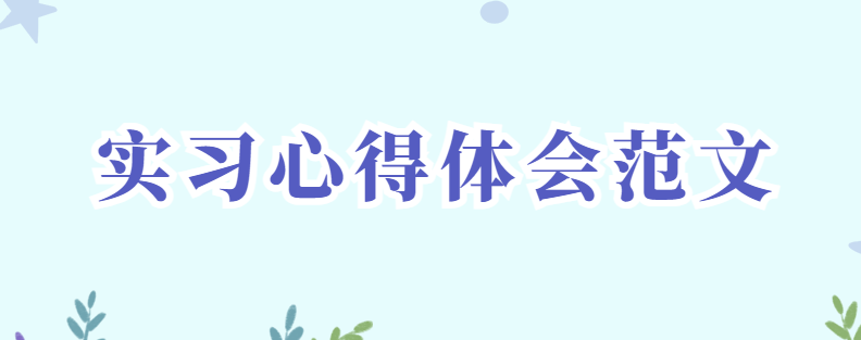 实习心得感受及个人报告 实习心得体会范文