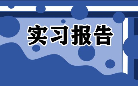 顶岗实习专题报告 顶岗实习总结