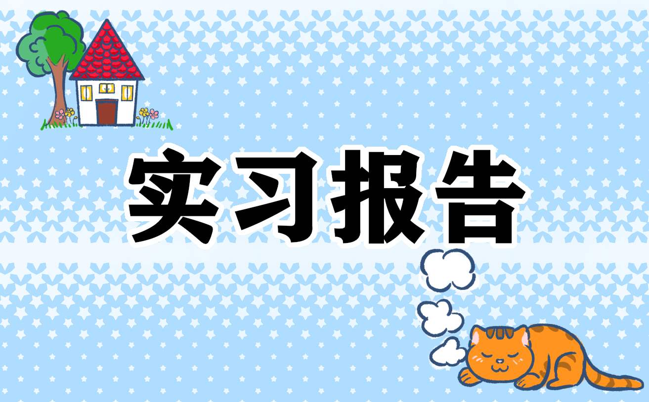 顶岗实习服务顾问报告书 顶岗实践业务总结报告3000字