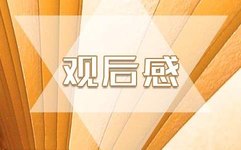 毕业生实习自我鉴定500字 毕业生自我鉴定300字