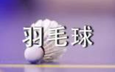 羽毛球比赛策划书 羽毛球比赛策划书