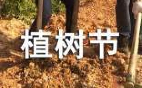 学生植树节策划书 学生植树节活动