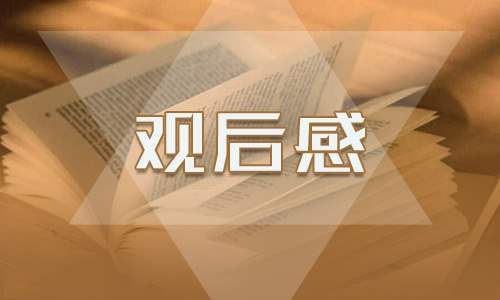 2023新时代新征程六一主题云队课观后感心得体会 云队课观后感