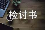 犯错的检讨书 犯错的检讨书500字