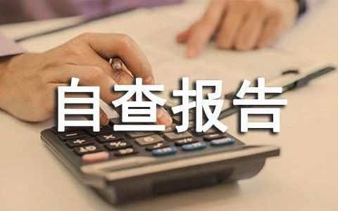 有偿家教自查报告 有偿家教自查报告怎么写