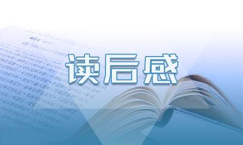 顶岗实习六百字左右心得 