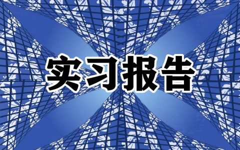 计算机专业公司顶岗实习报告