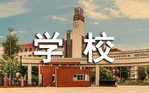 学校校长年度述职报告 学校校长年度述职报告总结