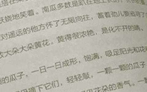 高三语文教学工作总结 高三语文教学工作总结和反思