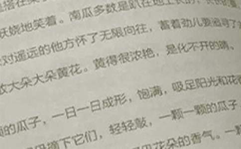 小学语文工作总结 小学语文工作总结六年级