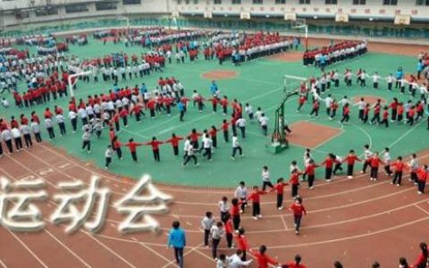 学校趣味运动会策划书 学校趣味运动会策划书怎么写