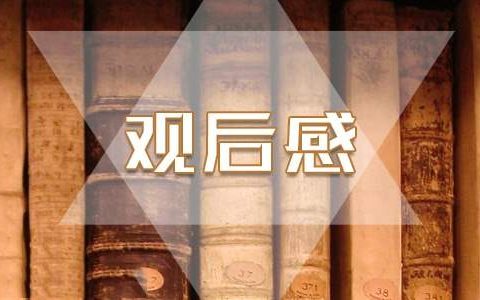 筑梦路上第三集观后感 筑梦路上第三集观后感100字