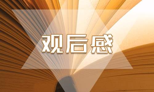 《感动中国》2023年度人物颁奖盛典观后感10篇 《感动中国》人物颁奖典礼观后感