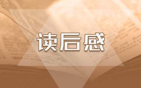 《三国演义》读后感阅读感悟400字10篇 三国演义读后感四篇